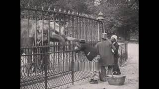 Odyssée d'un paysan à Paris (1905) A Countryman in Paris (Pathé)