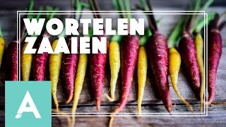 Wortelen zaaien! - Grow, Cook, Eat! #17