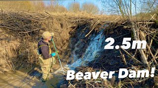 Most Exhausting Beaver Dam Drain.