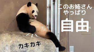 ほぼ主婦の休日wまったり桜浜のぐうたら具合が最高すぎ🐼アドベンチャーワールド  giantpanda