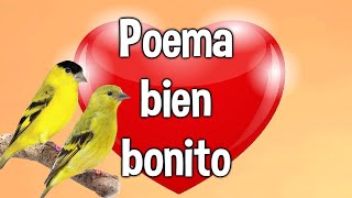 Poema para dedicar al amor de tu vida El Mejor poema de amor para dedicar