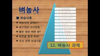 [벼농사  12/12]  벼농사 과제_쌀산업, 좋은 쌀, 밥맛