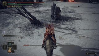 ELDEN RING Nude Disappearing Clothes Glitch Bug