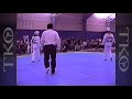 90s Taekwondo - Old School - Andres Martinez Vs Eddie Brochin