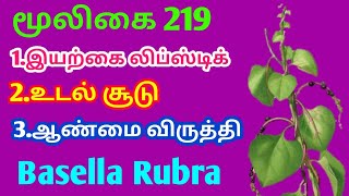 கொடி பசலை கீரை|கொடிப்பசலை|kodippasalai|Basella Rubra|அலசல்|Alasal