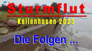 Sturmflut in Kellenhusen an der Ostsee - Oktober 2023 - Die Folgen