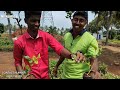 kps nursery garden பூக்கள் விவசாயத்தில் இவ்வளவு லாபமா மாதம் தவறாமல் கிடைக்கும் mrmanpulu