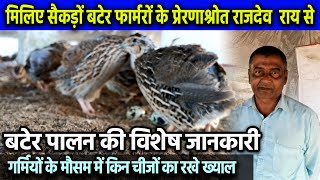 गर्मियों में बटेर का पालन कैसे करे?  Biharstory Media | Bater Farming In Bihar | #DhandhaPaani Vlog