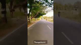 எப்ப வேணாலும் காணாமல் போலாம் சாலையோர மரங்கள் #shorts#shortsvideo #treeoflife #thengathotti#poongatre