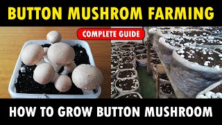 Button Mushroom Farming / Button Mushroom Cultivation | How to grow Button Mushrooms at Home