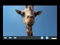 Custom Slider in Webflow Tutorial (no custom code)