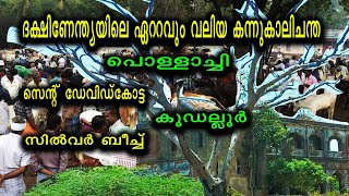 ഏറ്റവും വലിയ കന്നുകാലി ചന്ത പൊള്ളാച്ചി - St:ഡേവിഡ് കോട്ട - Fort St David - Pollachi - Silver Beach.