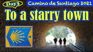 Camino#3: To the town of the stars with various pilgrims. * Puente la Reina - Estella