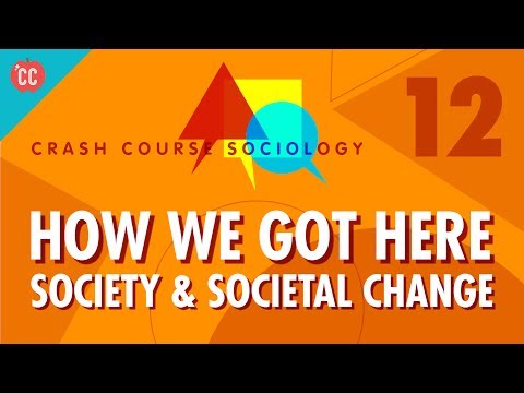 What was the first to throw light on the structure of society?