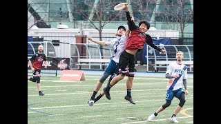 AUDL 2019: Montreal Royal at Toronto Rush — Game Highlights