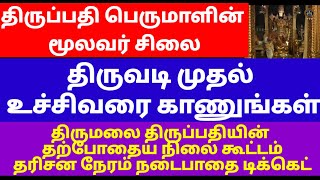 திருப்பதி பெருமாளின் மூலவர் சிலை திருவடி முதல் உச்சிவரை. TIRUPATI MOOLAVAR TIRUVADI TO UCHI