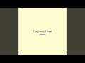 Fragments Forest