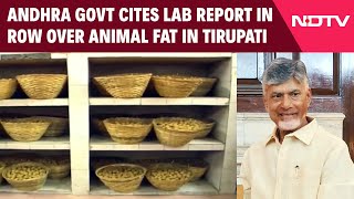 Tirupati Prasad | Andhra Government Cites Lab Report In Row Over Animal Fat In Tirupati Laddoos