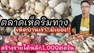 เก็บเห็ด|ขายรายได้หลัก1,000บาทต่อวัน Ep.139เห็ดหลายชนิด|อาหารตามตามฤดูกาล|ตลาดเห็ด|ข้างทาง #จารเจียง