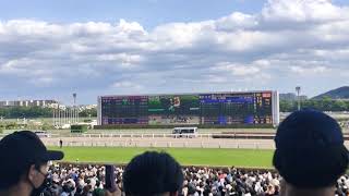 【現地映像】オークス本馬場入場