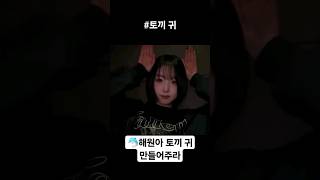 [엔믹스] 해원이 토끼 귀