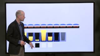 How Camera Sensors Pick up Light with John Greengo