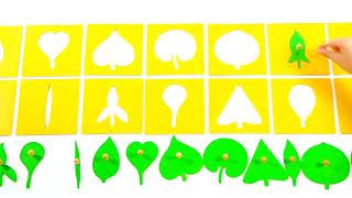 VDO 7 Leaf Shapes Insets