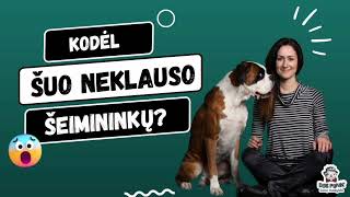 Kodėl šuo neklauso šeimininkų?