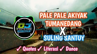 Pale Pale Akiyak Tumanedang Bikin Melayang DJ Topeng Remix