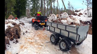 Tilannepäivitys talosuunnittelun edistymisestä, puunajoa ja kysymyksiä tietäjille.