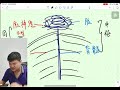 初中科学 二上8 人体的神经调节 mindmap