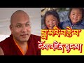 What's the Guru's love karmapa speech #rumtekkarmaekhenpo #karmapa #love#reincarnation #tibettv #new