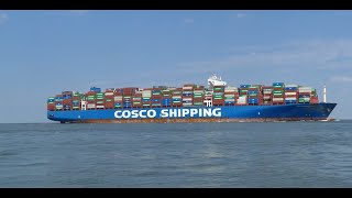 Shipspotting in Cuxhaven Part 006 | riesiges Containerschiff, Ro-Ro Frachter