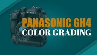 PANASONIC GH4 I CINELIKE D I Fast Color Grading