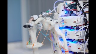 Surprisingly STEM Soft Robotics Engineers NASA+