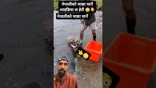 नेपालीको माछा मार्ने आइडिया ल हेरौं 😳👆 #fishing #freshwater #carpfishing #troutfishing #shorts #fish