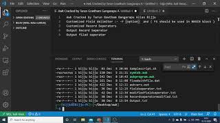 6 awk Customized delimiters
