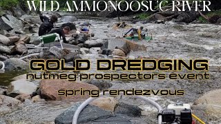 Wild Ammonoosuc River Loaded with GOLD dredges | Nutmeg Prospectors Spring Rendezvous!!!