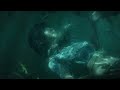 nil martorell u0026 arlane underwater official lyrics video