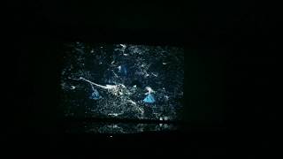 MadMapper,openframeworks