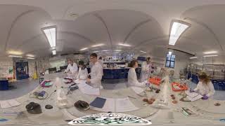 Undergraduate chemistry labs at Bath: 360 video