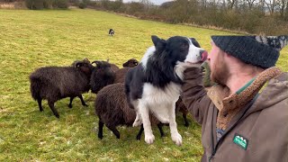 Day in the life of a farmer and his dog