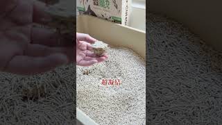 AG吃貨｜穀物貓砂推薦｜穀魔力｜天然穀物貓砂 ，鏟屎官的懶人貓砂，超人級除臭、超強凝結力