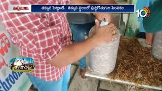 పుట్టగొడుగుల పెంపకంలో 3రోజుల శిక్షణ | Mushroom Cultivation Training | 10TV Agri