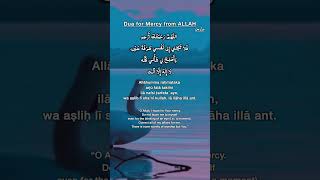 Dua for Mercy from Allah|Omar Hisham Al Arabi|Allahumma rahmataka arju