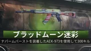 #372 CoD:BO6 ゾンビモード AEK-973 ブラッドムーン迷彩解除(スペシャル迷彩)迷彩解除チャレンジ マークスマンライフル ナパームバーストを装備して300キル