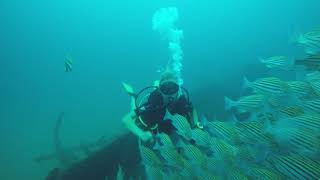 SS Orestes Wreck Galle - Sun Diving Sri Lanka