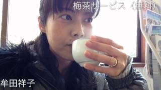 筑波山 梅まつり2015