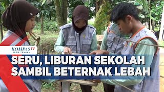 Seru, Liburan Sekolah Sambil Beternak Lebah