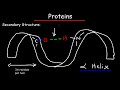 struktura białek pierwotna wtórna trzeciorzędowa i czwartorzędowa biologia